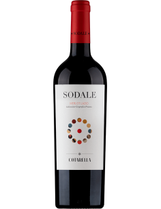 Red Wines - Lazio Merlot IGP 'Sodale' 2018 (750 ml.) - Famiglia Cotarella - Cotarella - 1