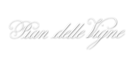 pian_logo.png