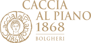 Caccia_al_Piano_logo_150.png