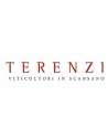 Terenzi