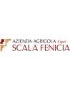 Scala Fenicia