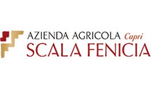 Scala Fenicia