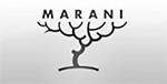 Sergio Marani