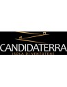 Candidaterra