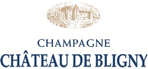 Chateau de Bligny
