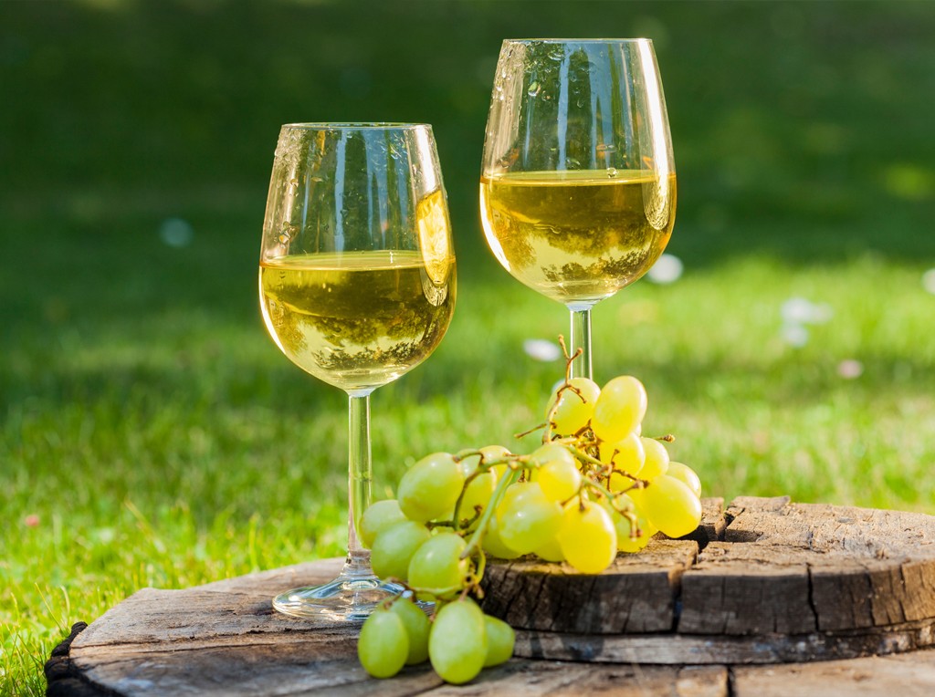 Chablis: L'essenza pura dello Chardonnay