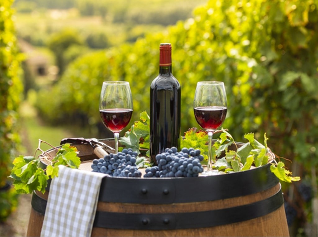 Aglianico: Viaggio attraverso il tempo con il Barolo del Sud